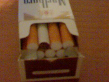 marlboro special ninjoxe